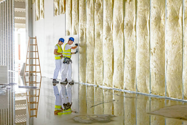 Best Insulation Maintenance and Repair in Brigantine, NJ